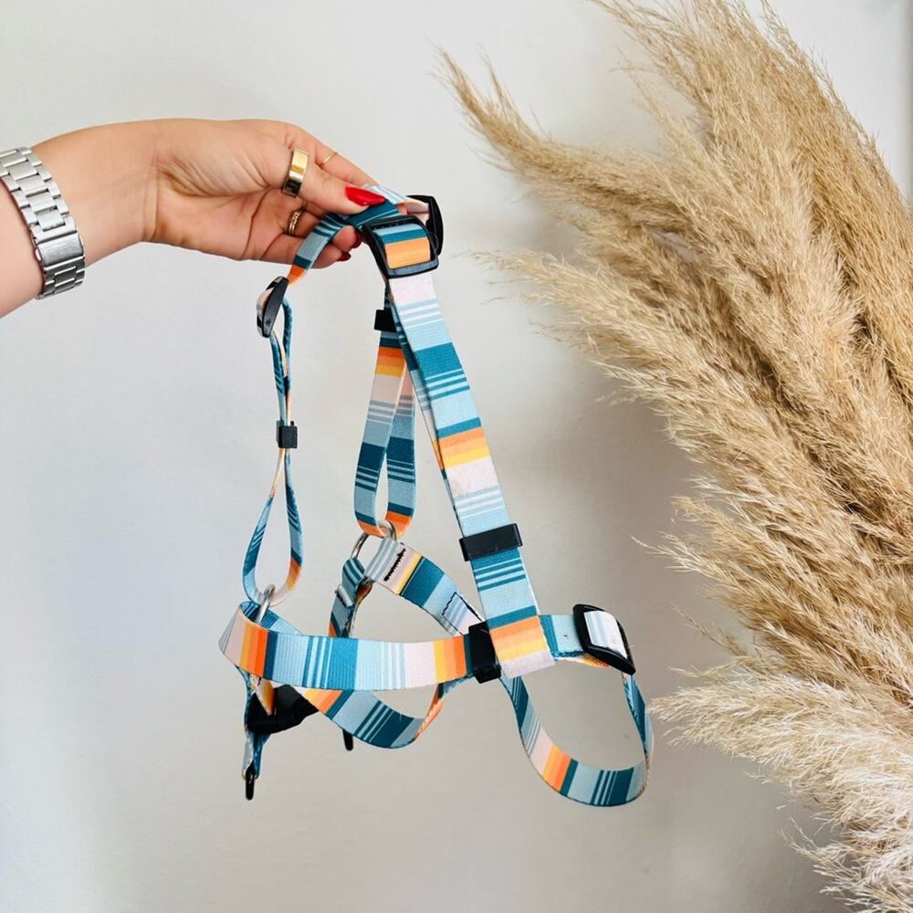 LEEDS Doheny White Blue Stripe Dog Leash Buckle Collar Step Harness $135 Set - Picture 16 of 16